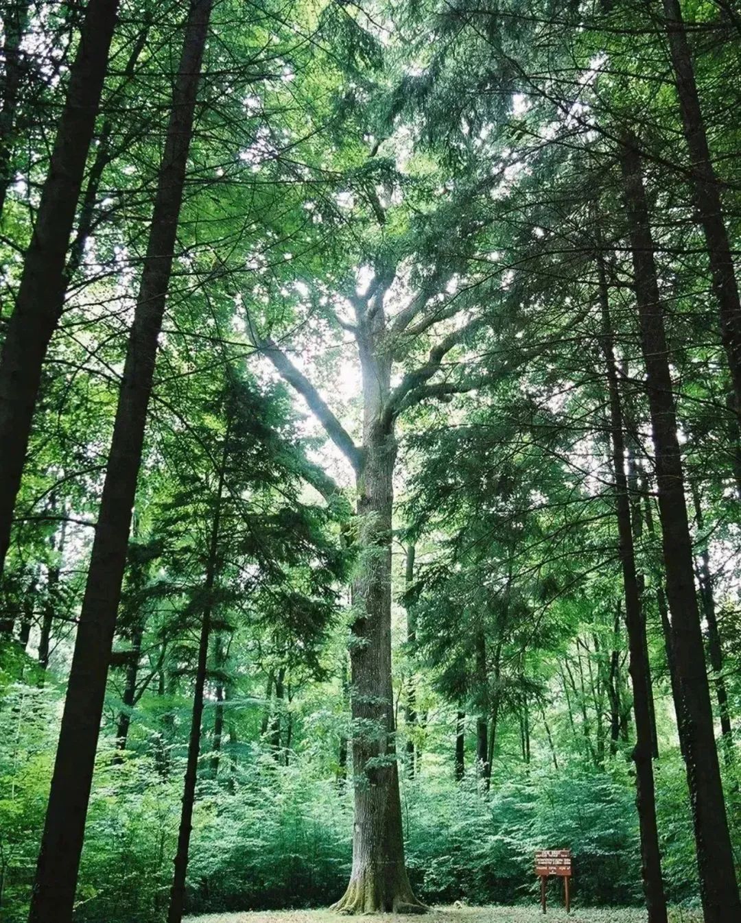 紧急通知 | 北京威士忌节地址变更为-北京国际会议中心