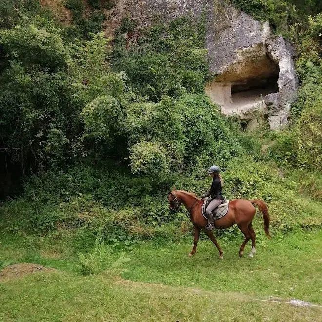 香槟旅游 | 槟客 Insider 旅行攻略合集