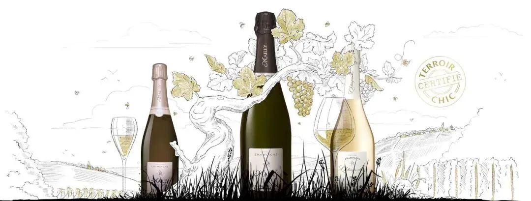 2024 展商介绍｜Champagne Mailly Grand Cru