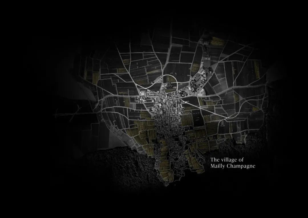 2024 展商介绍|Champagne Mailly Grand Cru 2024 展商介绍|Champagne Mailly Grand Cru