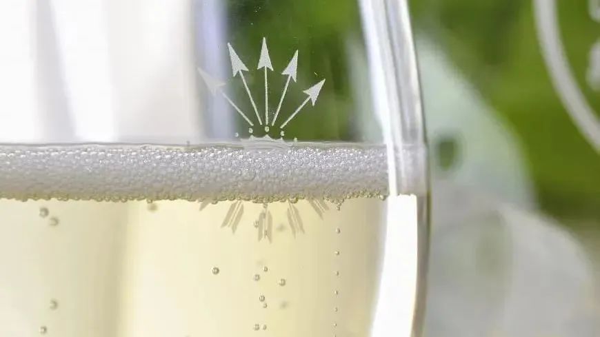 2024 展商介绍｜Barons de Rothschild Champagne