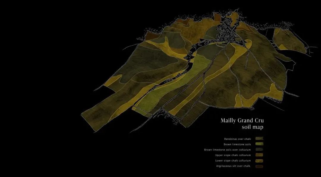 2024 展商介绍|Champagne Mailly Grand Cru 2024 展商介绍|Champagne Mailly Grand Cru