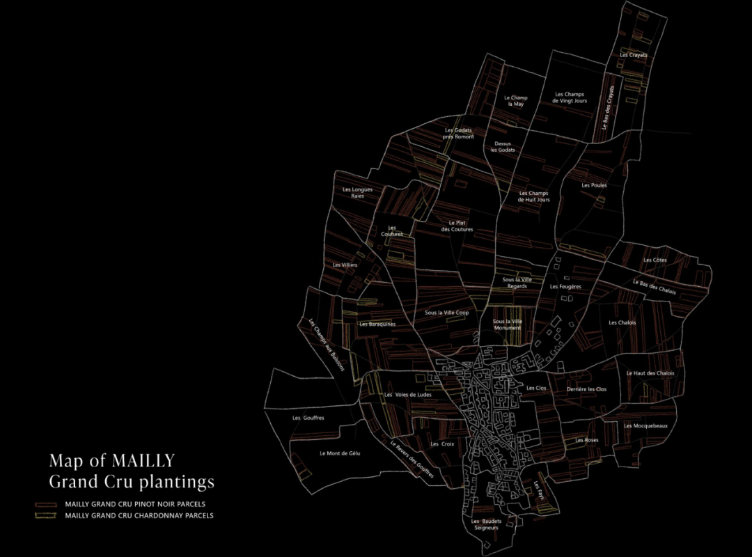 2024 展商介绍｜Champagne Mailly Grand Cru
