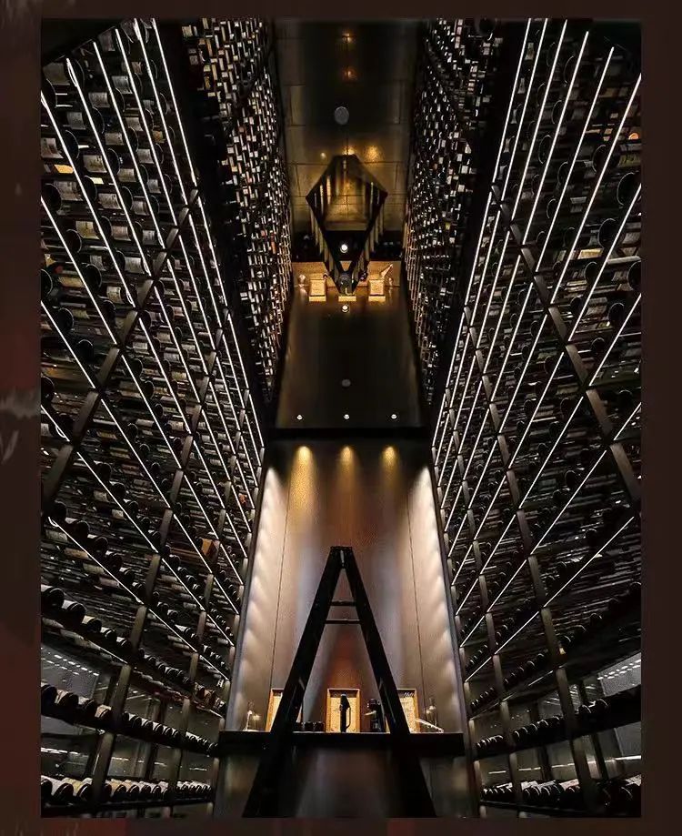 2024 大中华区最佳香槟酒单评选大众评选通道正式开启！