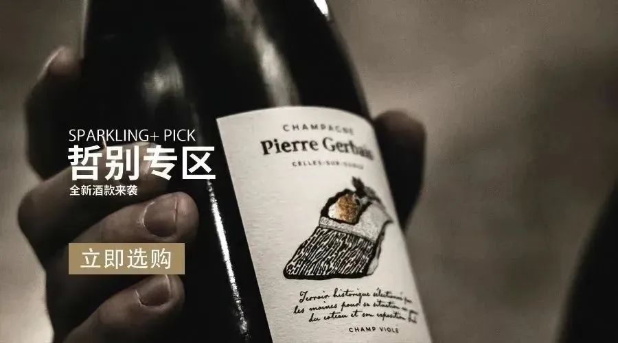 香槟推荐｜Champagne Pierre Gerbais : 明见万里，臻于至善