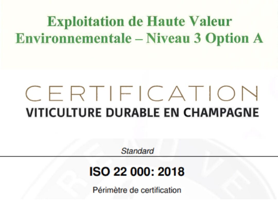 2024 展商介绍｜Champagne Joseph Perrier