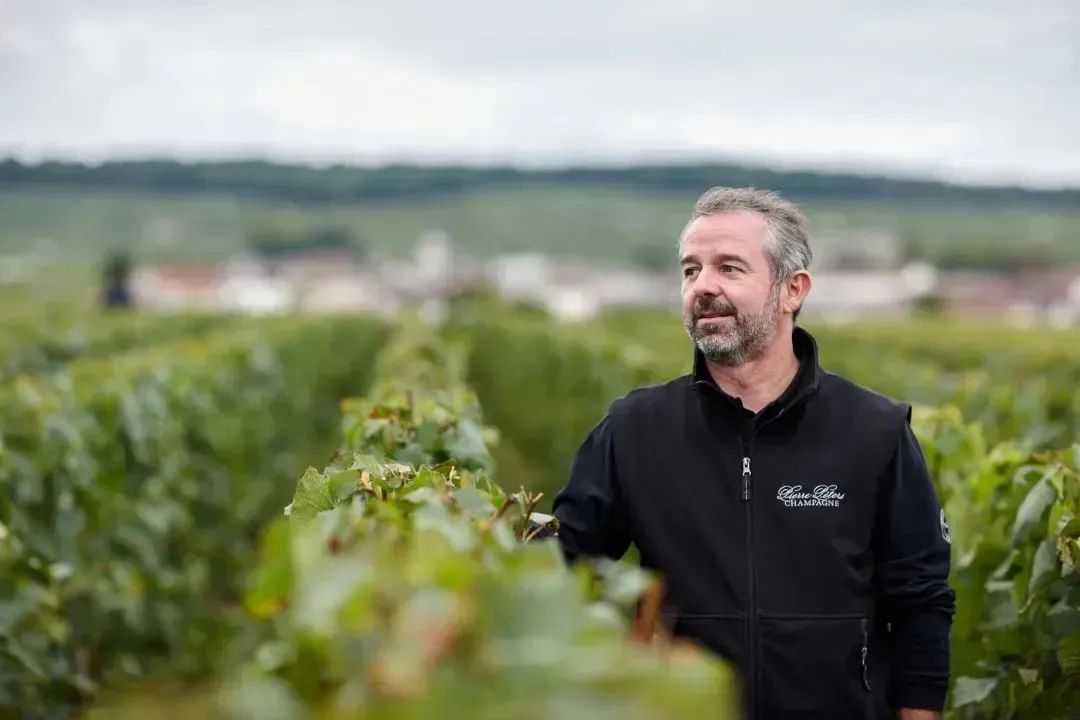 香槟推荐|Champagne Pierre Péters: 淡泊明志,笃行致远 香槟推荐|Champagne Pierre Péters: 淡泊明志,笃行致远