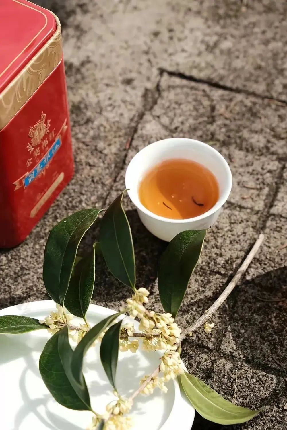 颁奖晚宴提前知 ⎜ 2024 中国最佳香槟酒单评选 颁奖晚宴提前知 ⎜ 2024 中国最佳香槟酒单评选
