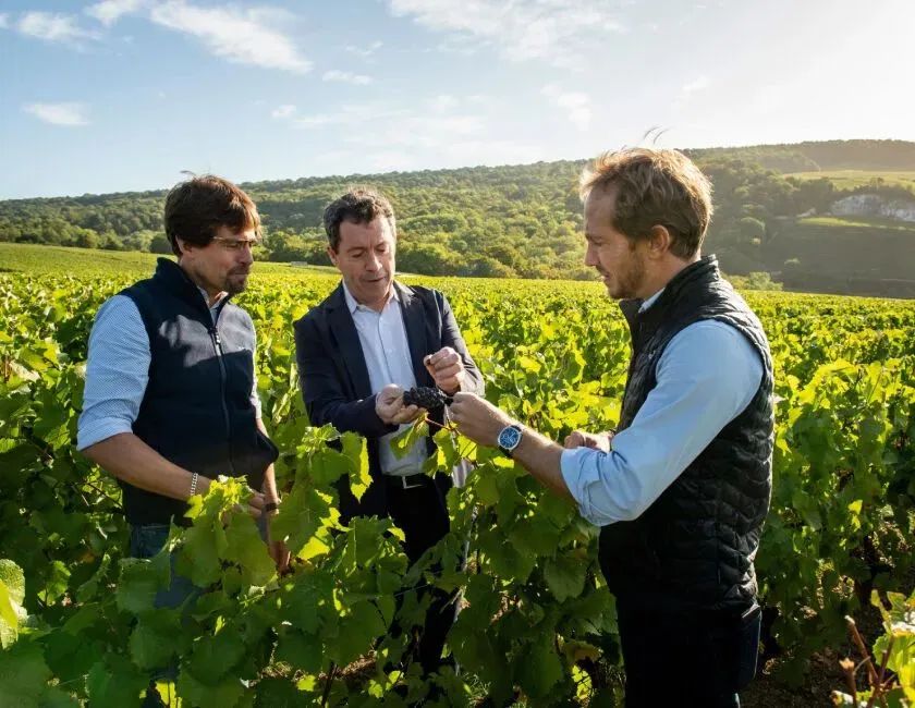 2024 展商介绍| Champagne Penfolds 2024 展商介绍| Champagne Penfolds