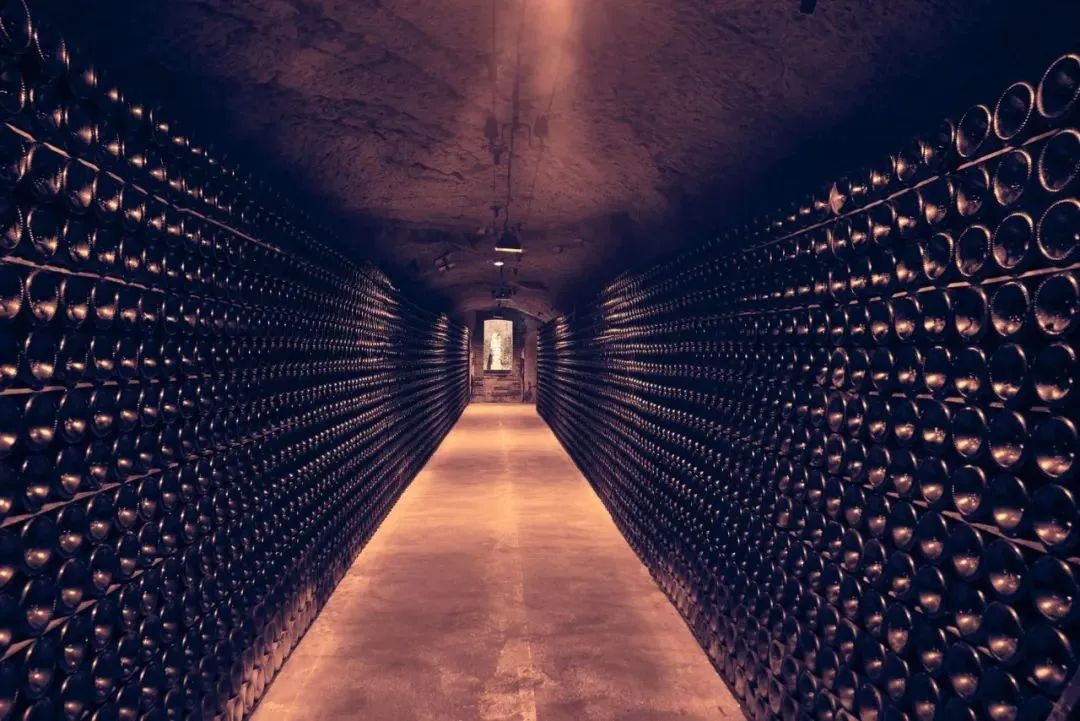 2024 展商介绍|Moët & Chandon 2024 展商介绍|Moët & Chandon