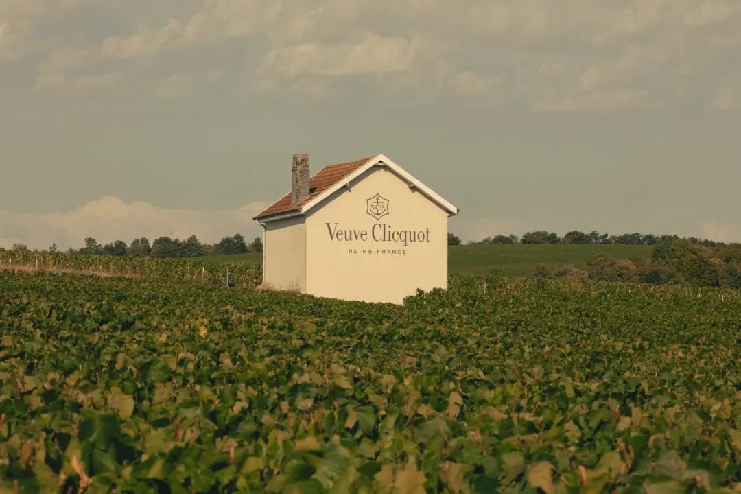 2024 展商介绍|Champagne Veuve Clicquot 2024 展商介绍|Champagne Veuve Clicquot