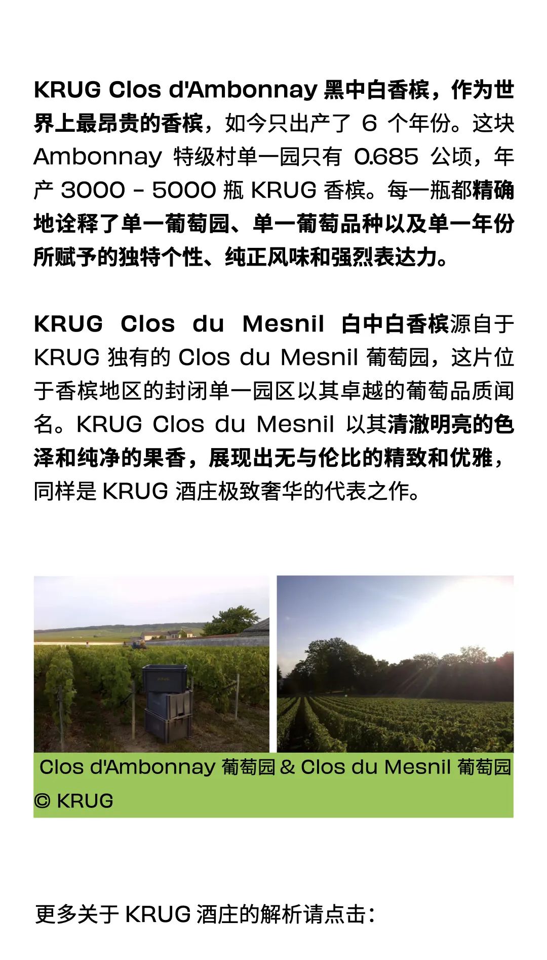 8.9 北京｜KRUG 全系列香槟晚宴，珍惜每次旧时光的绽放时刻