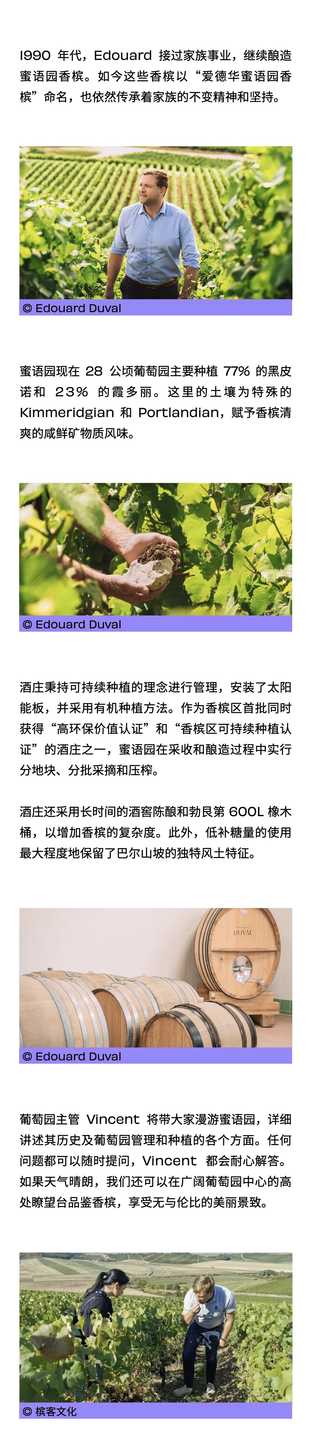 香槟旅游：走进巴尔山坡 Côte des Bar，揭开香槟白垩纪风土传奇