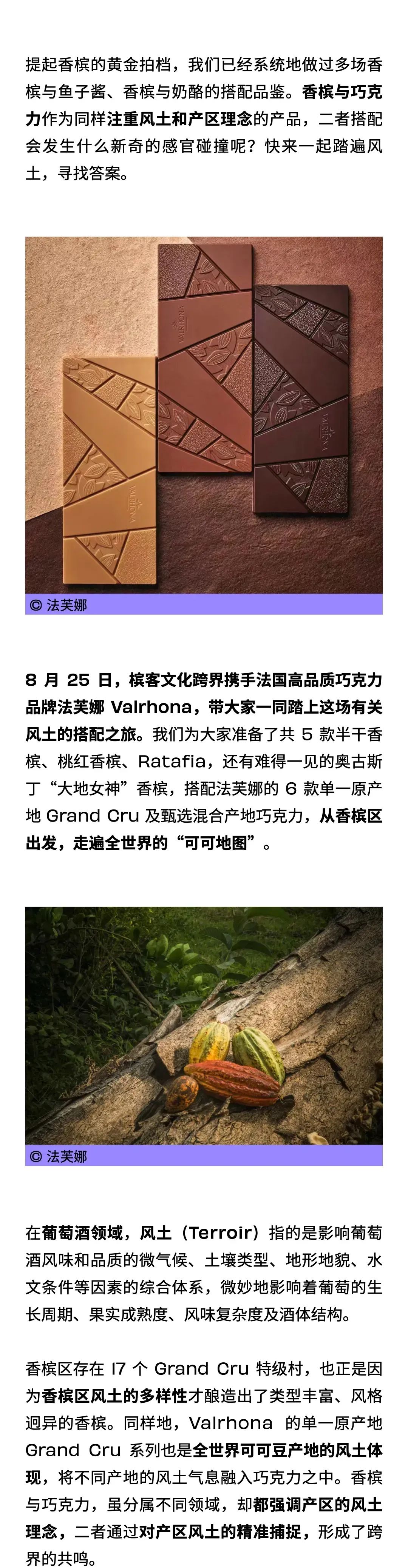 8.25 上海｜香槟 x 巧克力下午茶，在世界“可可地图”中探索巧克力 Grand Cru 的风土