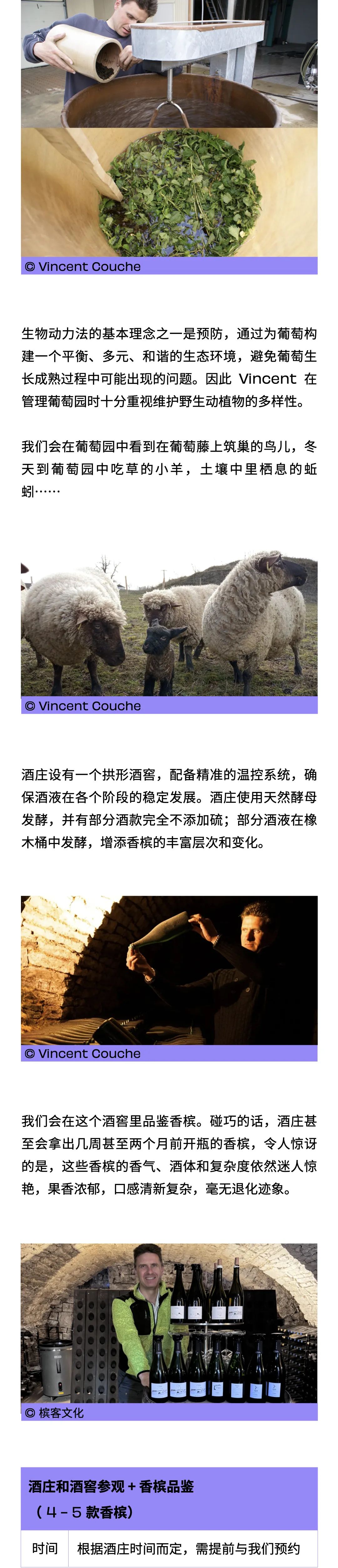 香槟旅游：走进巴尔山坡 Côte des Bar，揭开香槟白垩纪风土传奇