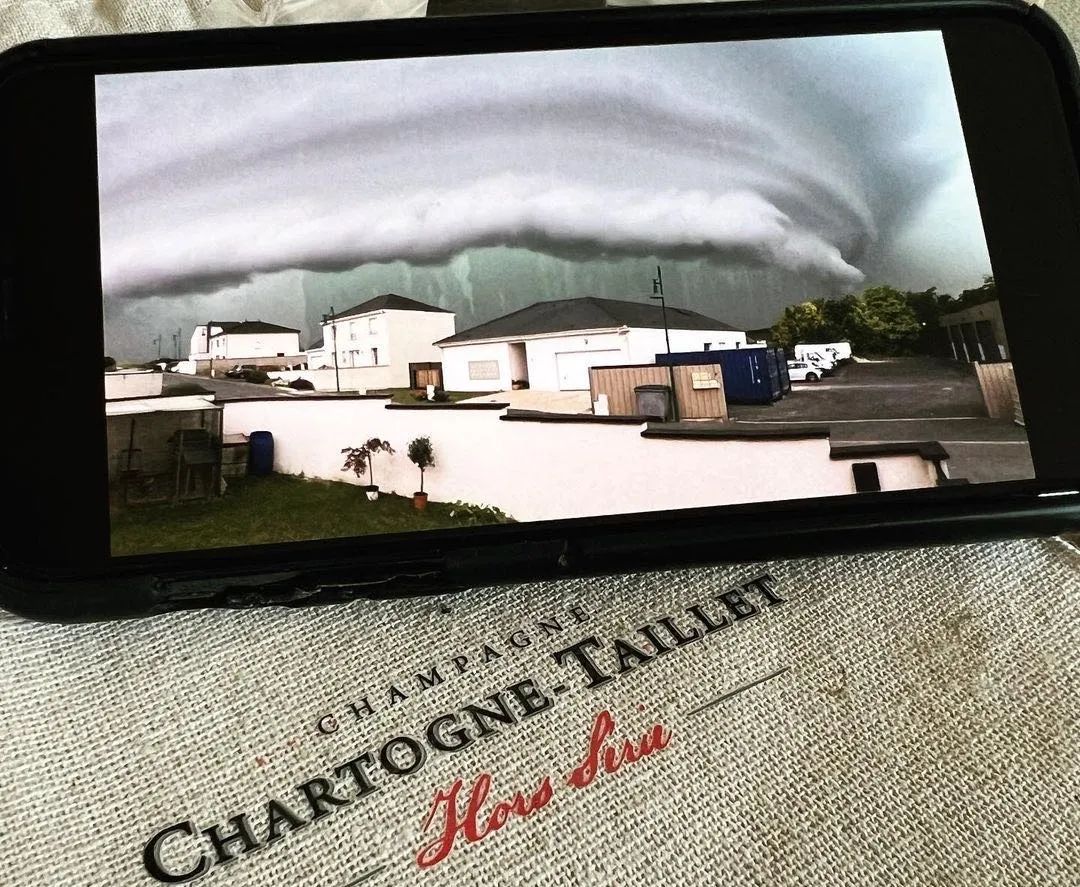 新品推荐|北境之地的完美主义执行者:Chartogne-Taillet 新品推荐|北境之地的完美主义执行者:Chartogne-Taillet