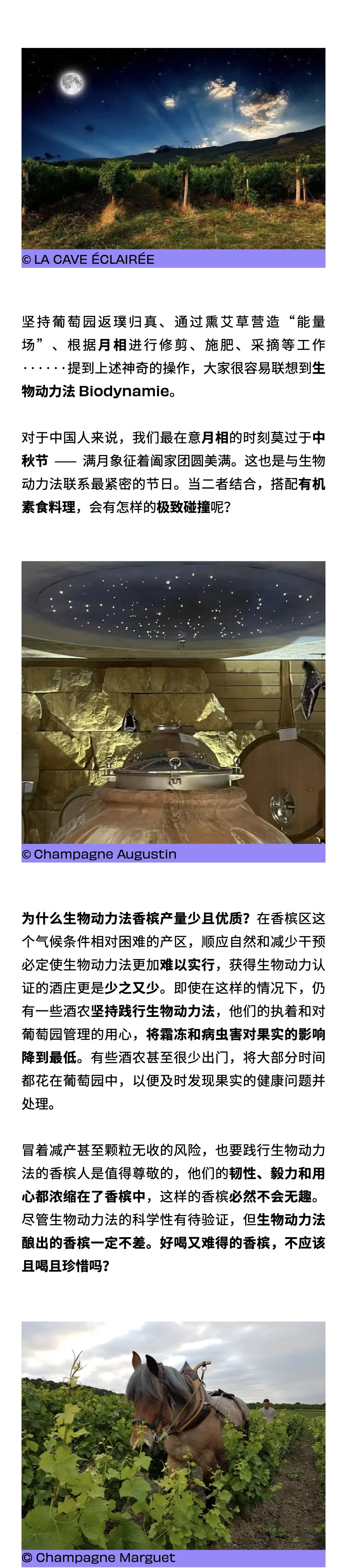 9.13 杭州｜都是月亮惹的“祸”？中秋、生物动力法和素食真的很搭！