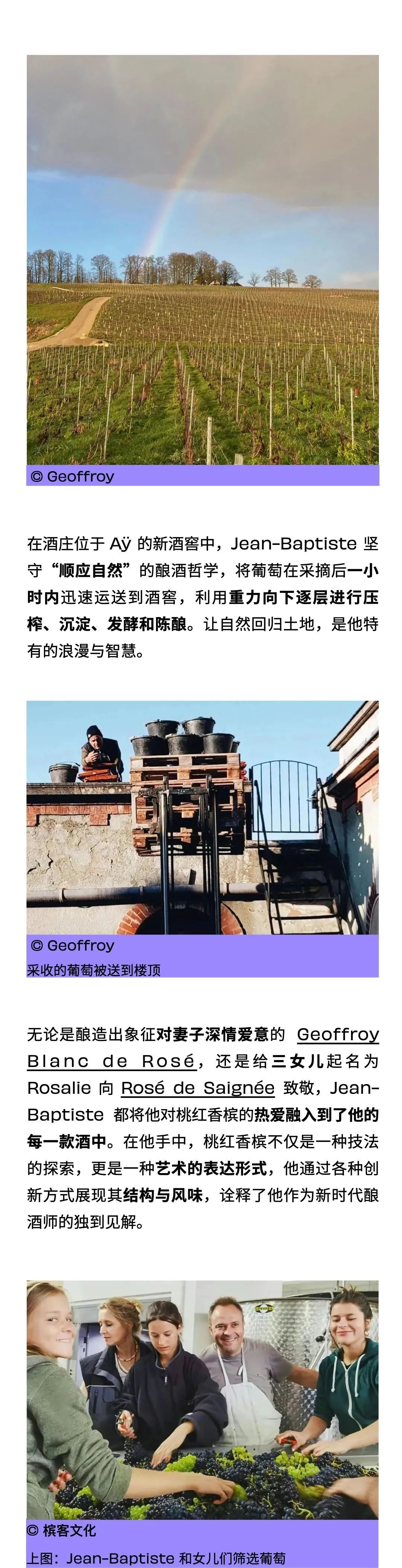 马恩河谷的“红宝石”有何神奇？资深香槟客这样说！